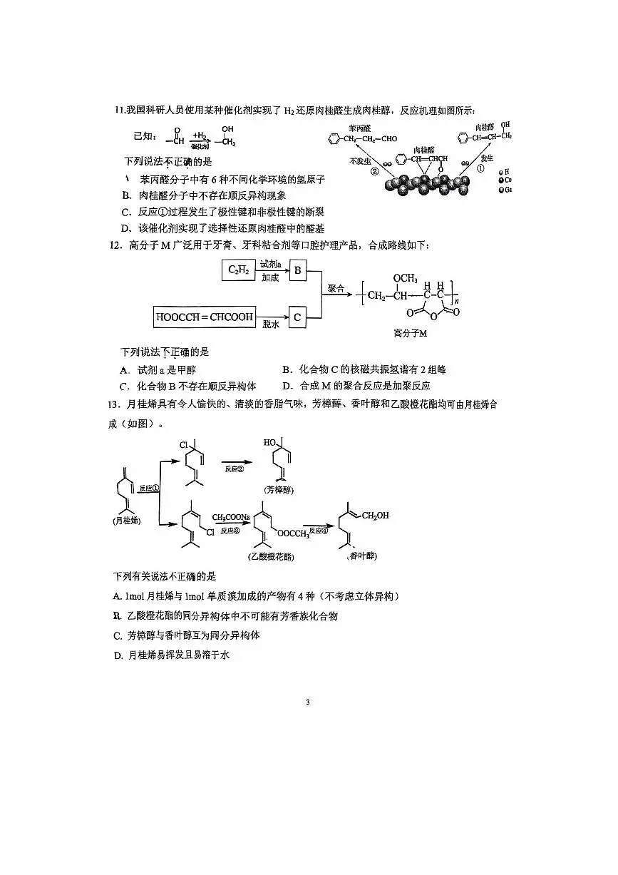 2024～2025学年北京市中关村中学高二下3月月考化学试卷(含答案)第3页