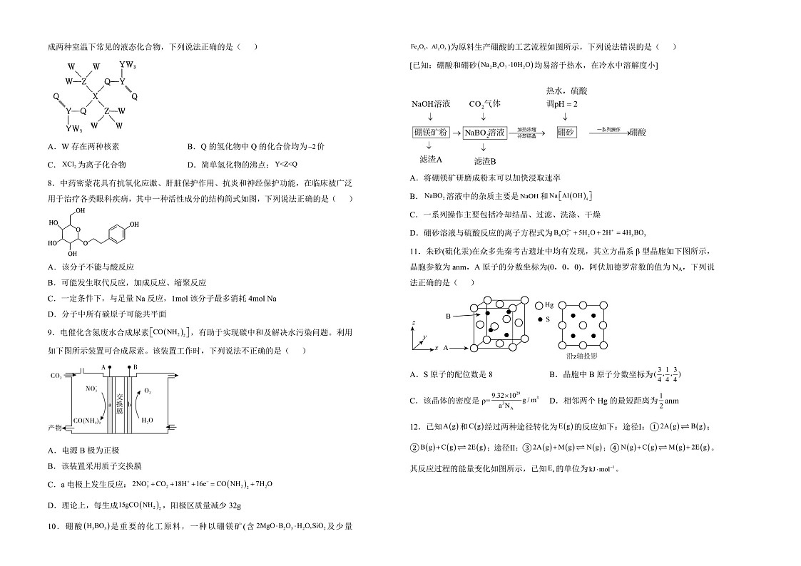 湖南省衡阳市衡阳县第四中学2025届高三上学期1月期末化学试题（含答案）第2页