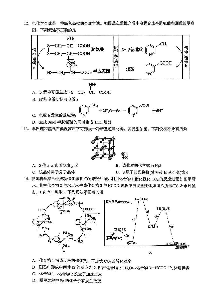 浙江省杭州第二中学2025-2026学年高三上学期10月月考化学试题第3页