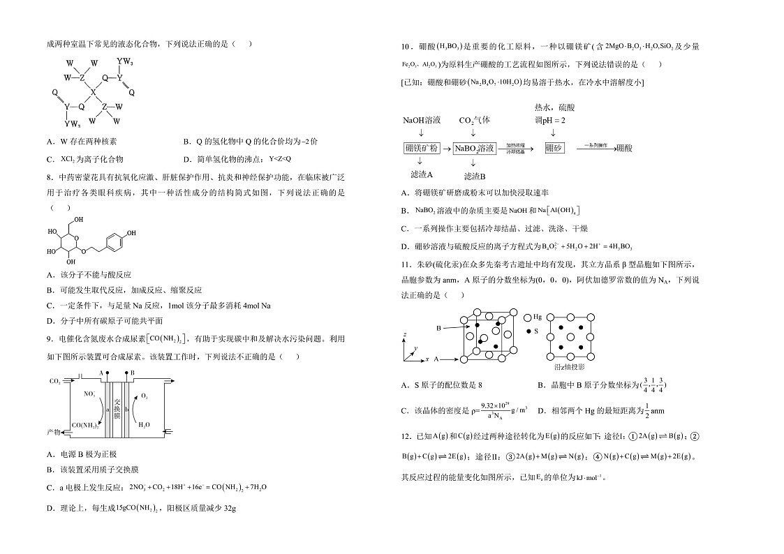 湖南省衡阳市衡阳县第四中学2025届高三上学期1月期末考试-化学试卷（含答案）第2页