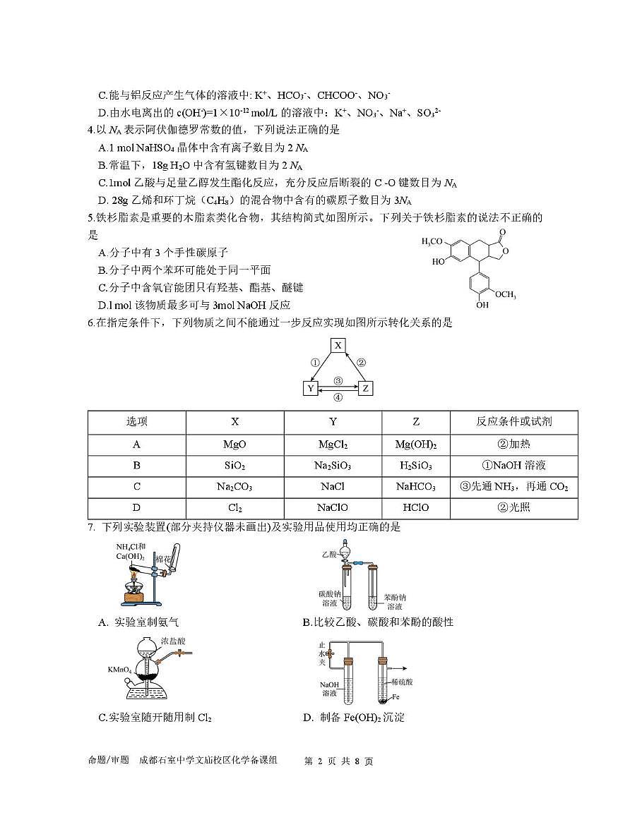 四川省成都市石室中学2025-2026学年高三上学期10月月考 化学试题第2页
