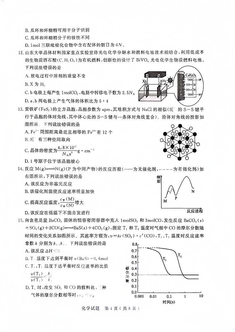 山东省济宁市2025届高三上学期1月期末考试-化学试题（含答案）第3页
