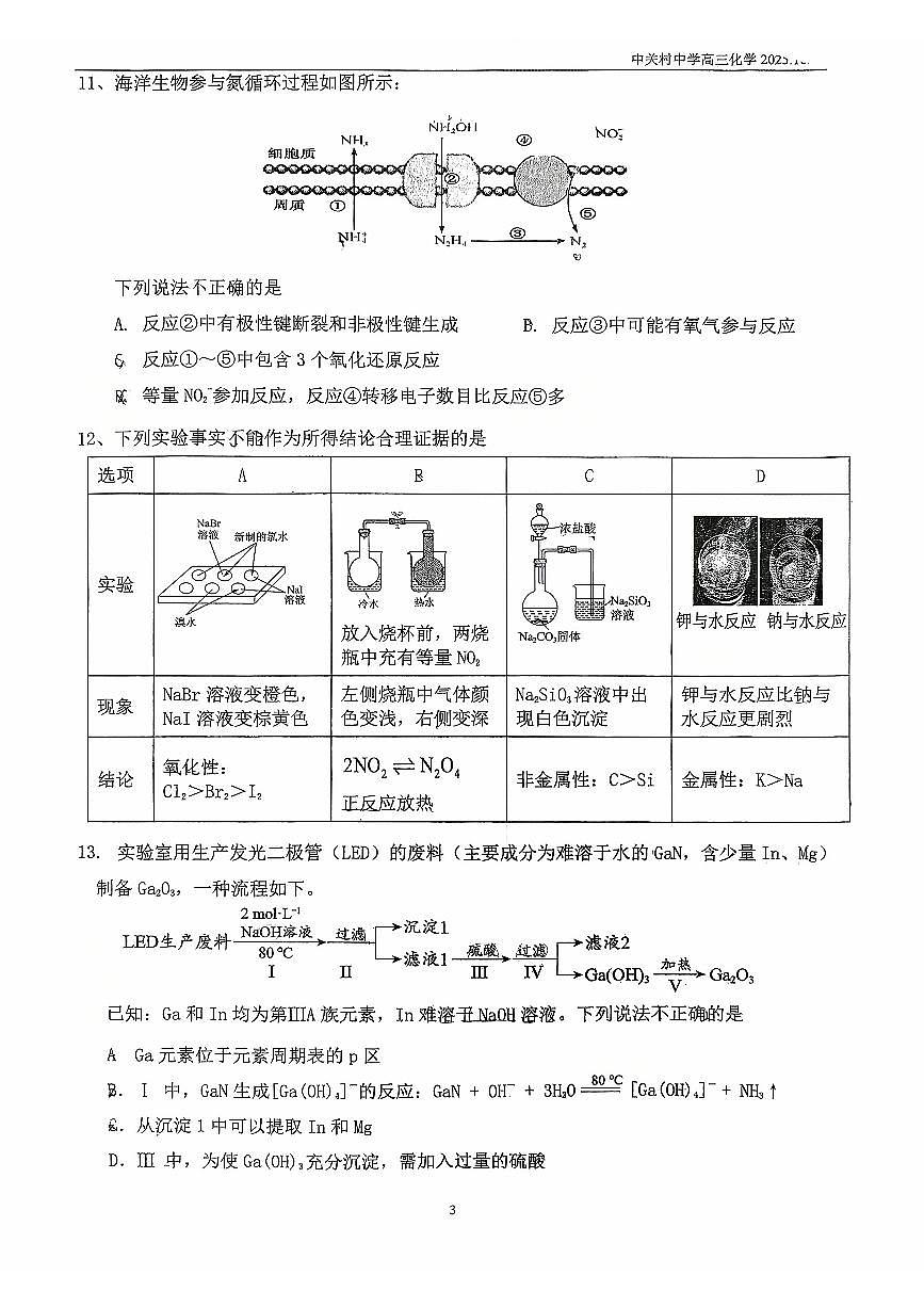 2025北京中关村中学高三上10月月考化学试卷（教师版）第3页