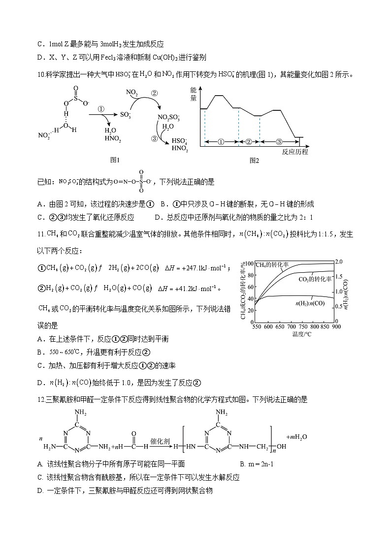 四川省仁寿第一中学校北校区2025年高三化学月考试题（有答案和解析）第3页