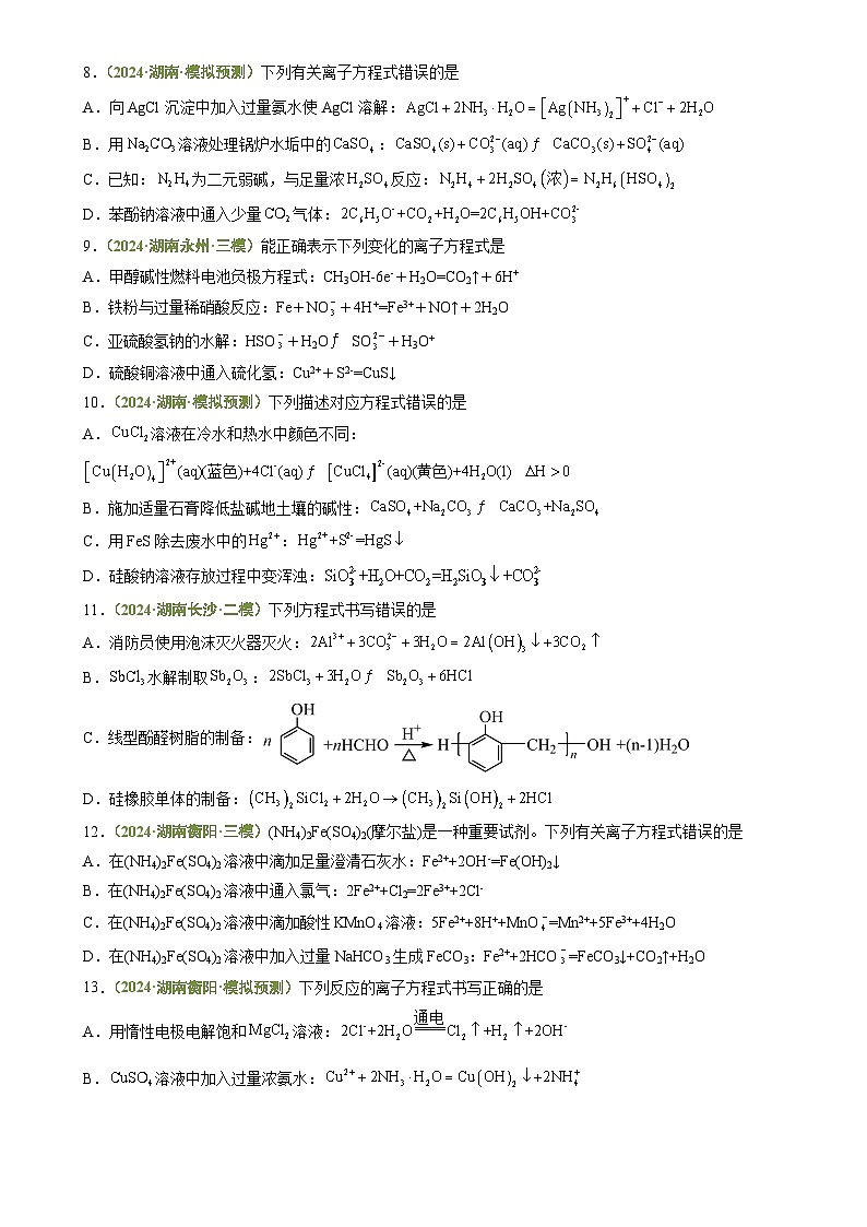 专题02 离子方程式正误判断-【好题汇编】3年（2022-2024）高考1年模拟化学真题分类汇编（湖南专用）（原卷版）-A4第3页