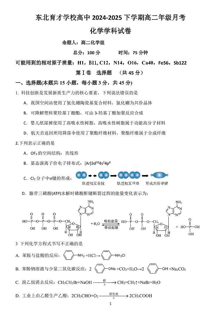 辽宁省沈阳市东北育才学校2024-2025学年高二下学期第二次月考化学试卷第1页