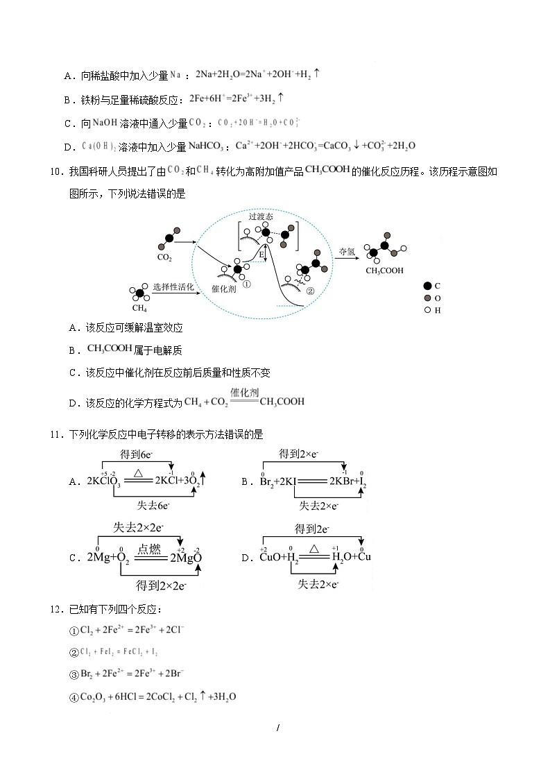 高一化学上学期第一次月考（湖北专用，人教版2019） （考试版A4）第3页