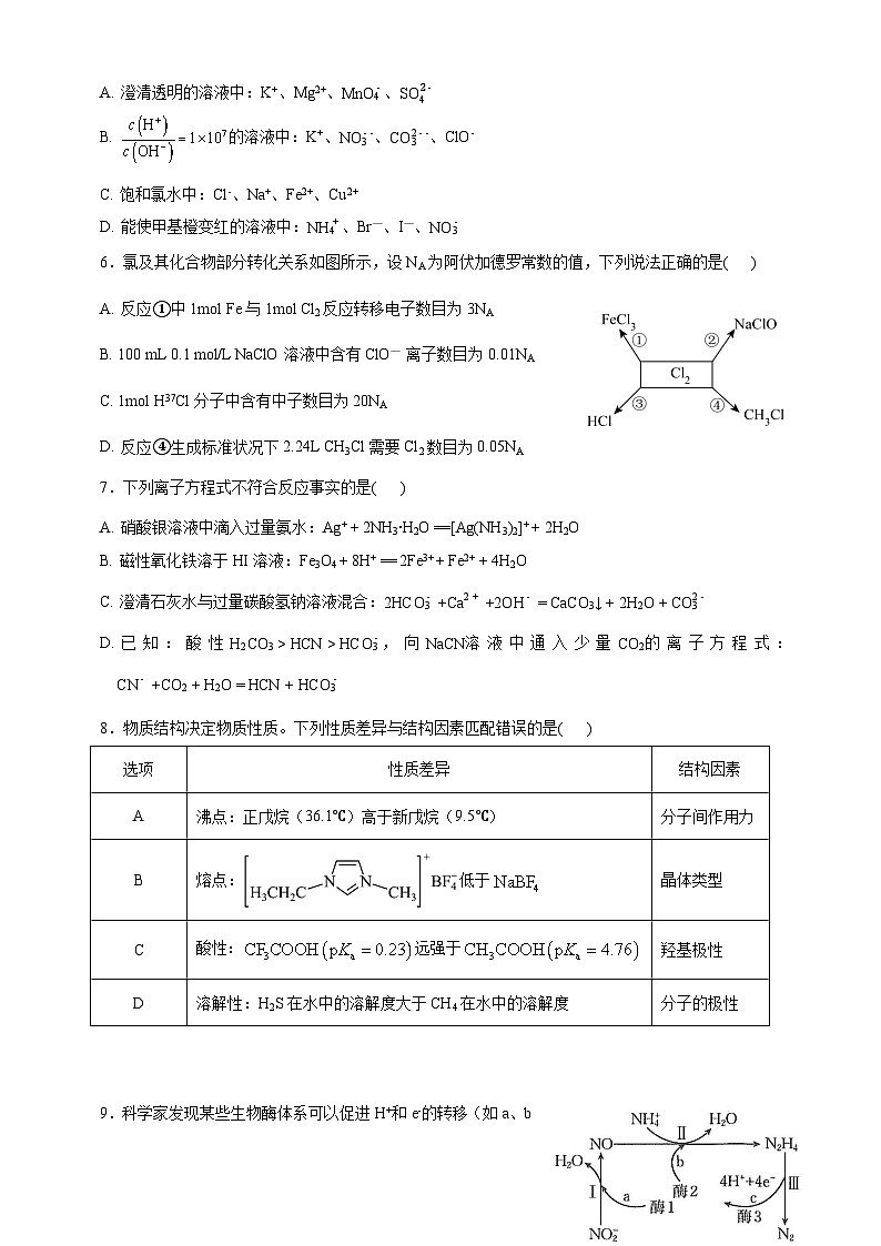 绵阳南山中学实验学校高2023级高三（上）10月月考+化学第2页