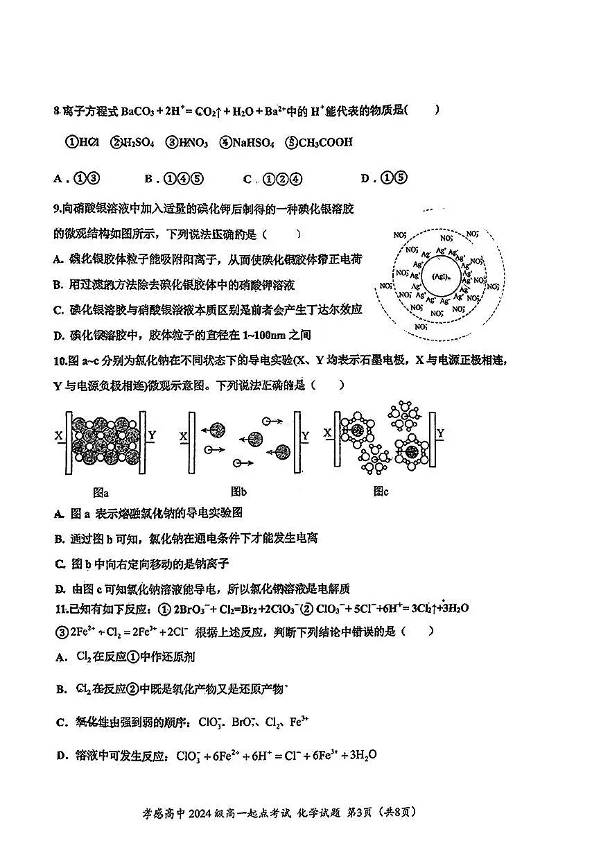 湖北省孝感高级中学2024-2025学年高一上学期开学考试化学试题第3页