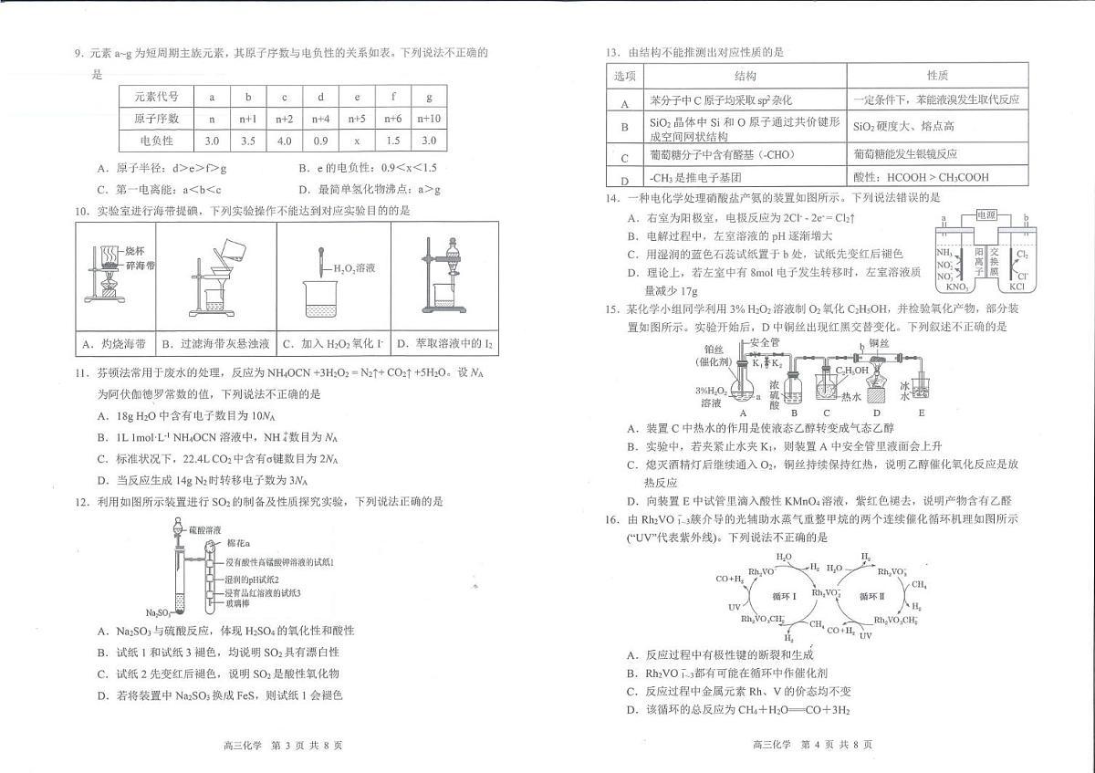 深圳宝安区2026届高三上学期教学质量检测化学试题第2页