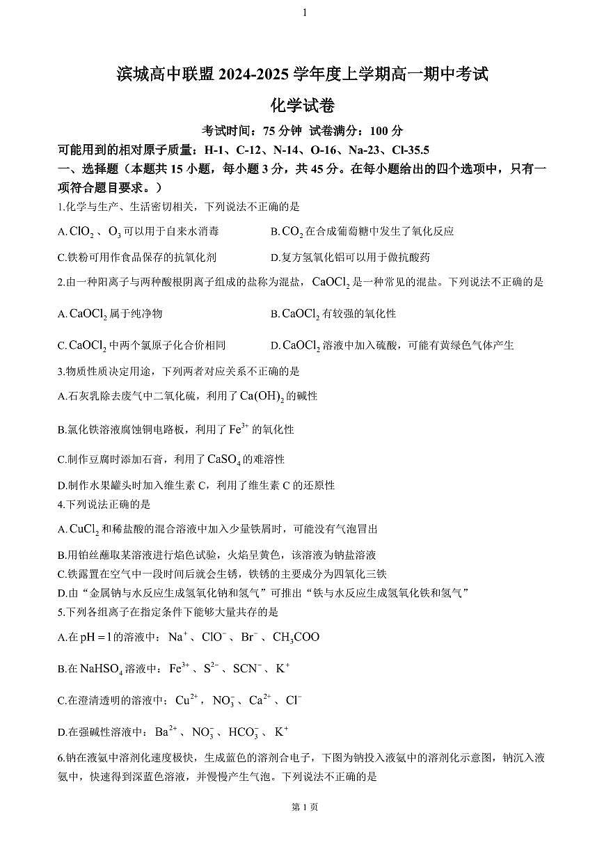 化学-辽宁省大连市滨城高中联盟2024-2025学年高一上学期期中考试试题及答案第1页