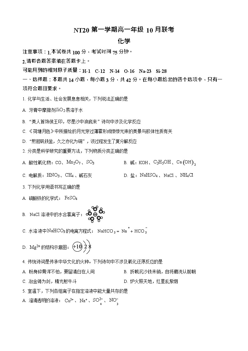 河北省NT20名校联考2025-2026学年高一上学期10月考试化学试卷第1页