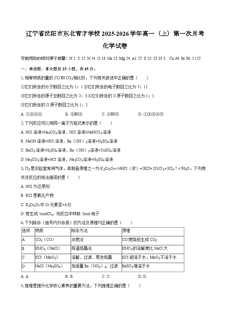 辽宁省沈阳市东北育才学校2025-2026学年高一（上）第一次月考化学试卷（含答案）第1页