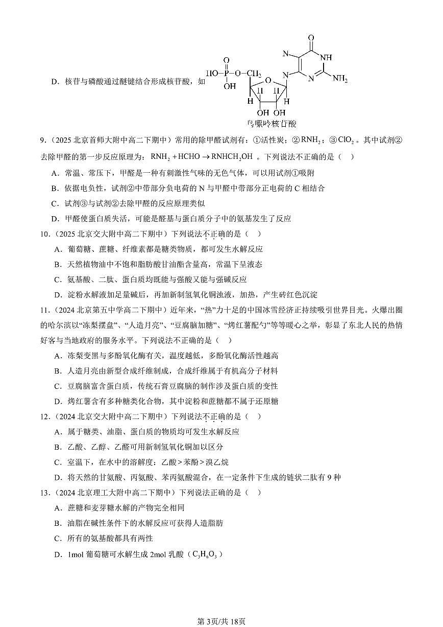 2023-2025北京重点校高二（下）期中化学汇编：蛋白质第3页