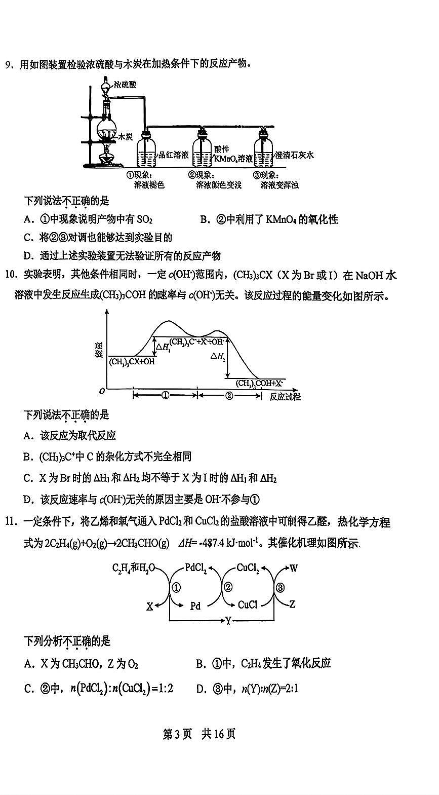 2025北京一零一中高三（上）统练三化学第3页