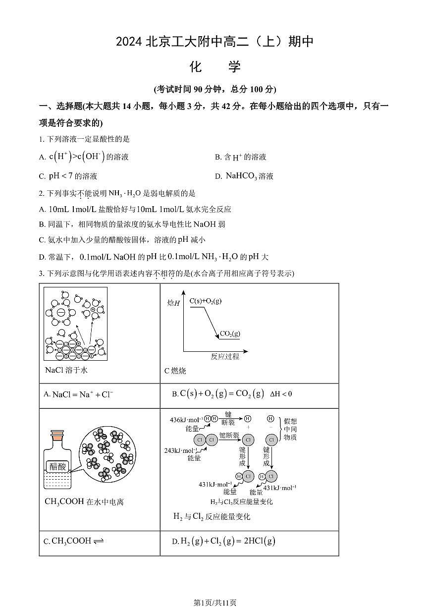 2024北京工大附中高二（上）期中化学试卷   有答案第1页