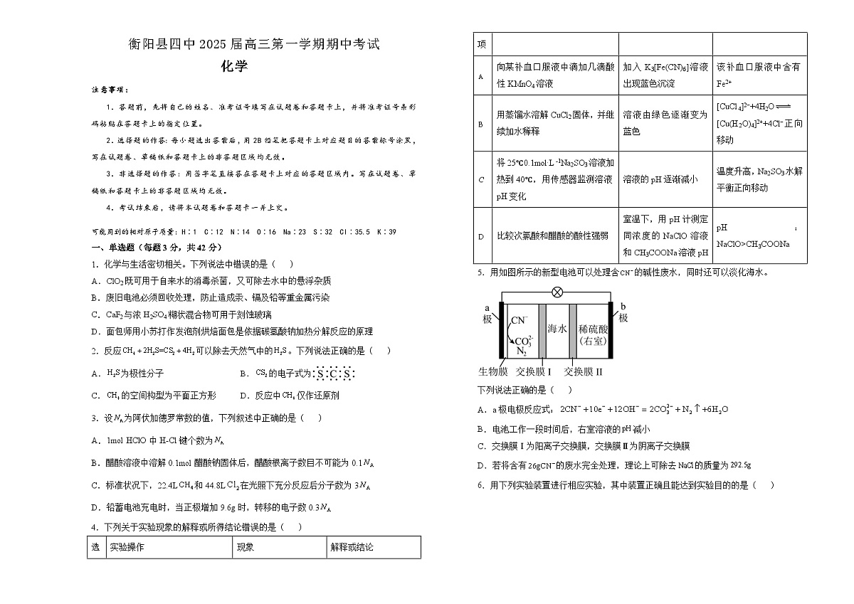 湖南省衡阳市衡阳县衡阳县第四中学2024-2025学年高三上学期11月期中化学试题第1页