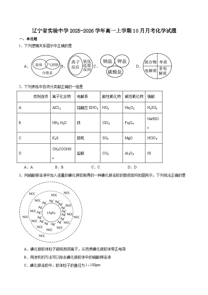 辽宁省实验中学2025-2026学年高一上学期10月月考化学试题（Word版附答案）第1页