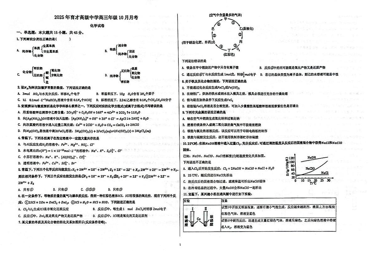 湖北省黄冈市黄梅县育才高级中学2025-2026学年高三上学期10月月考化学试题第1页
