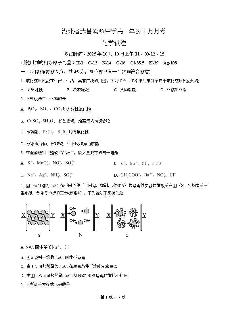 湖北省武汉市武昌实验中学2025-2026学年高一上学期10月考化学试卷（原卷版）第1页