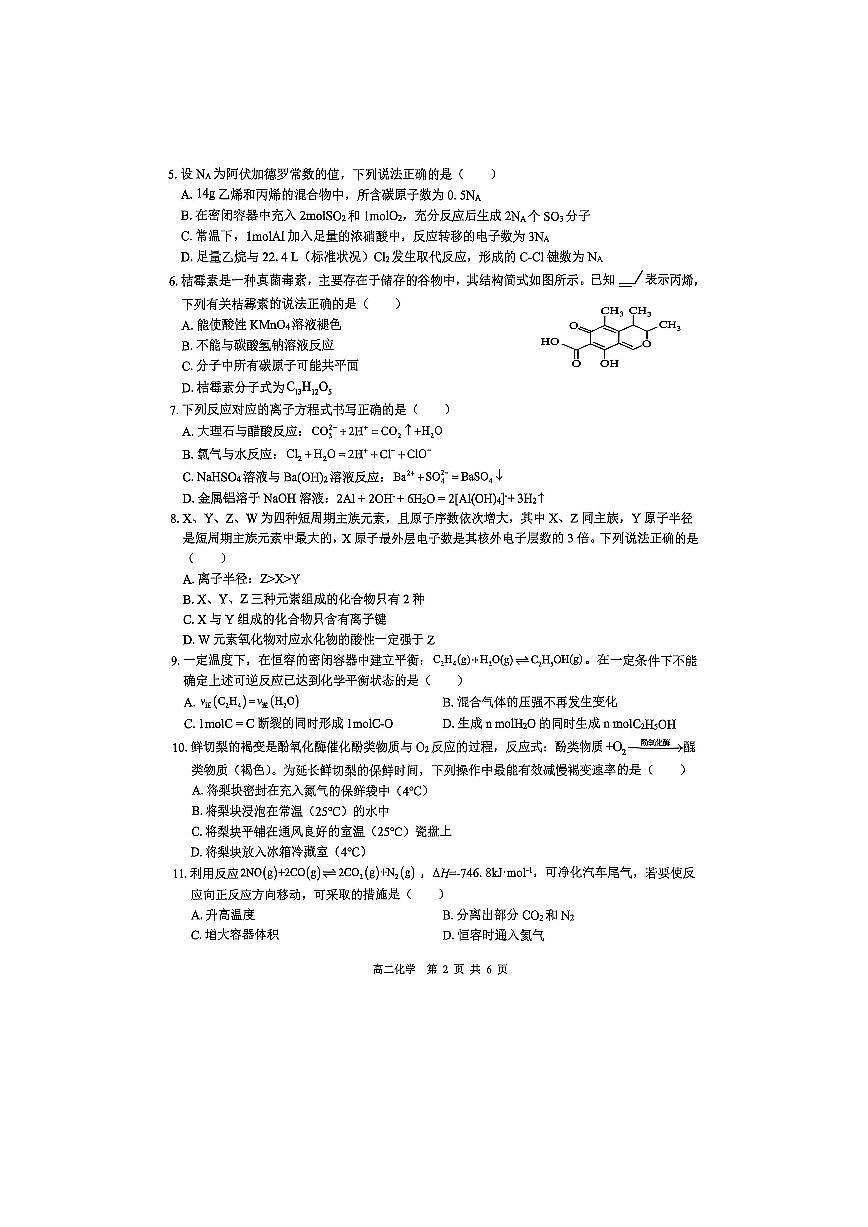 广西贵百河2025-2026学年高二上学期10月月考化学试卷第2页