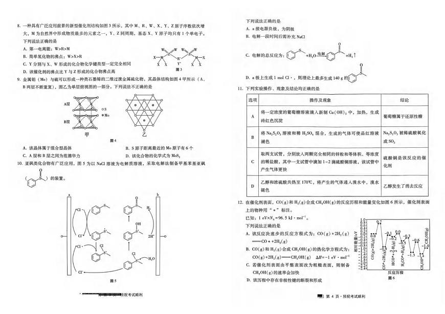 重庆市巴蜀中学2026届高三上学期10月月考（三）化学试题第2页