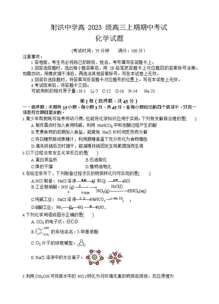 四川省遂宁市射洪中学2025-2026学年高三上学期期中考试化学试卷第1页