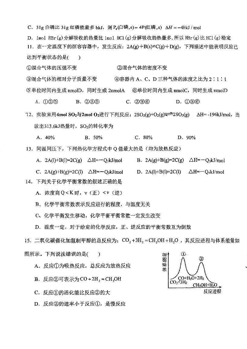 天津市第九十五中学2025-2026学年高二上学期11月月考化学试题第3页