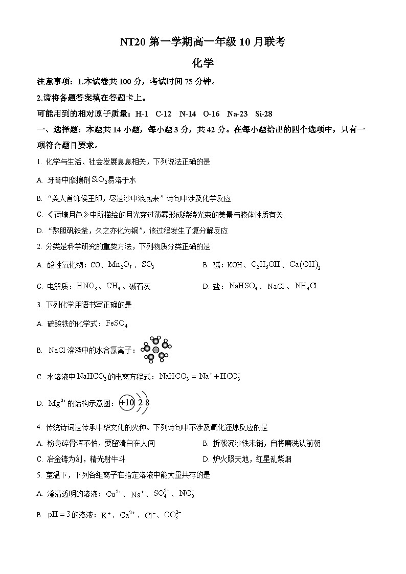 河北省NT20名校联合体2025-2026学年高一上学期10月联考化学试题（原卷版）第1页