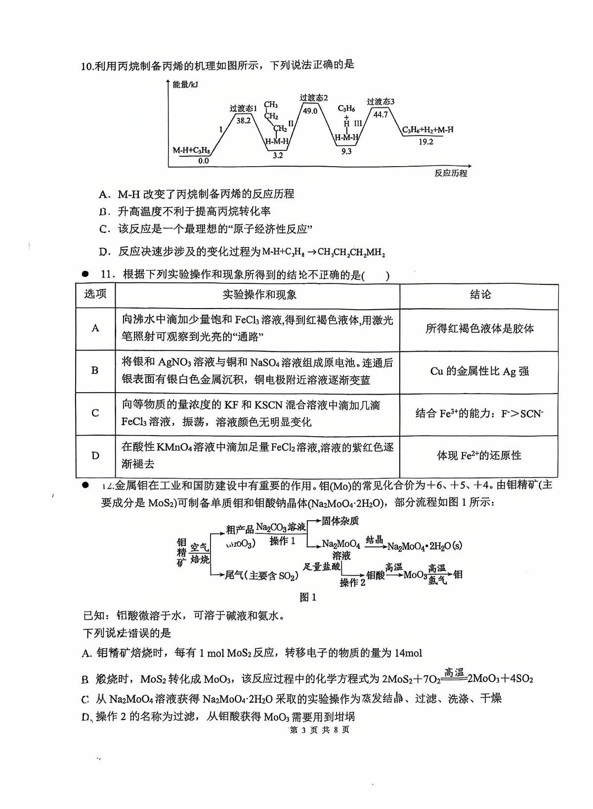 湖南省衡阳市第八中学2025-2026学年高三上学期11月期中化学试题第3页