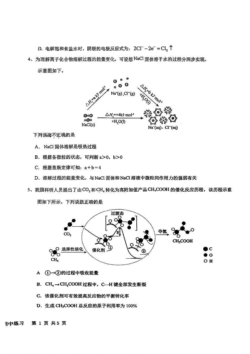 2025北京育英学校高二（上）期中化学（A班）试卷第2页