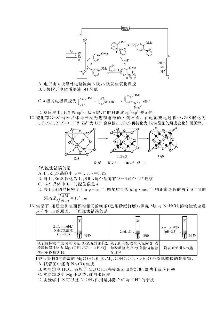 化学-河北省沧州市四校联考2025-2026学年高三上学期11月期中考试题及答案第3页