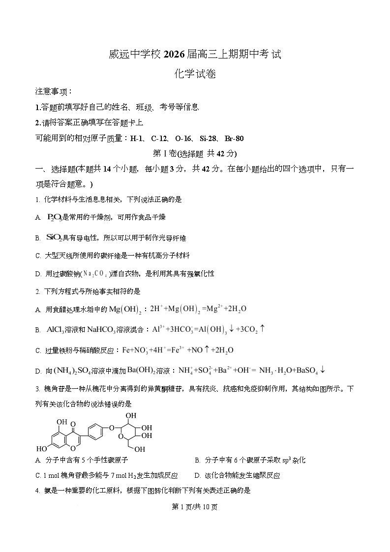四川省内江市威远中学2026届高三上学期期中考试化学试题（原卷版）第1页