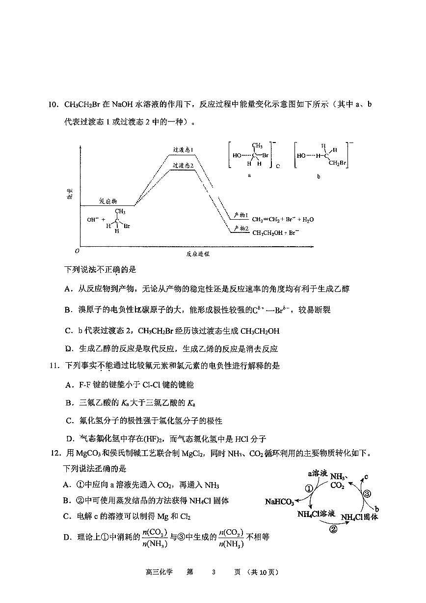 2025北京十三中高三（上）期中化学试卷第3页