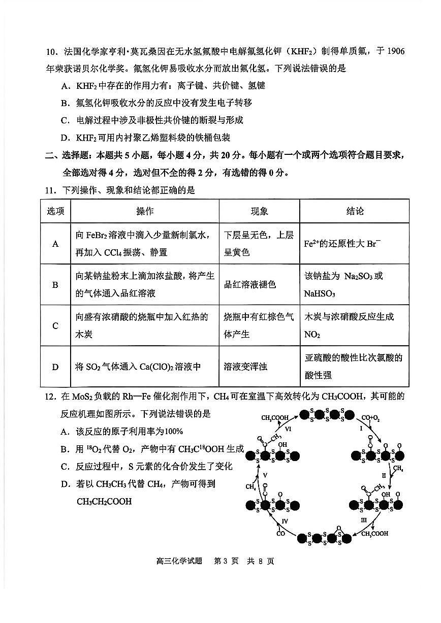 山东省聊城市2026届高三第一学期期中教学质量检测 化学试题及答案第3页