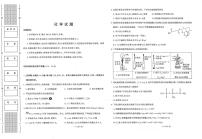 陕西省商洛市镇安中学2025-2026学年高三上学期11月期中化学试题