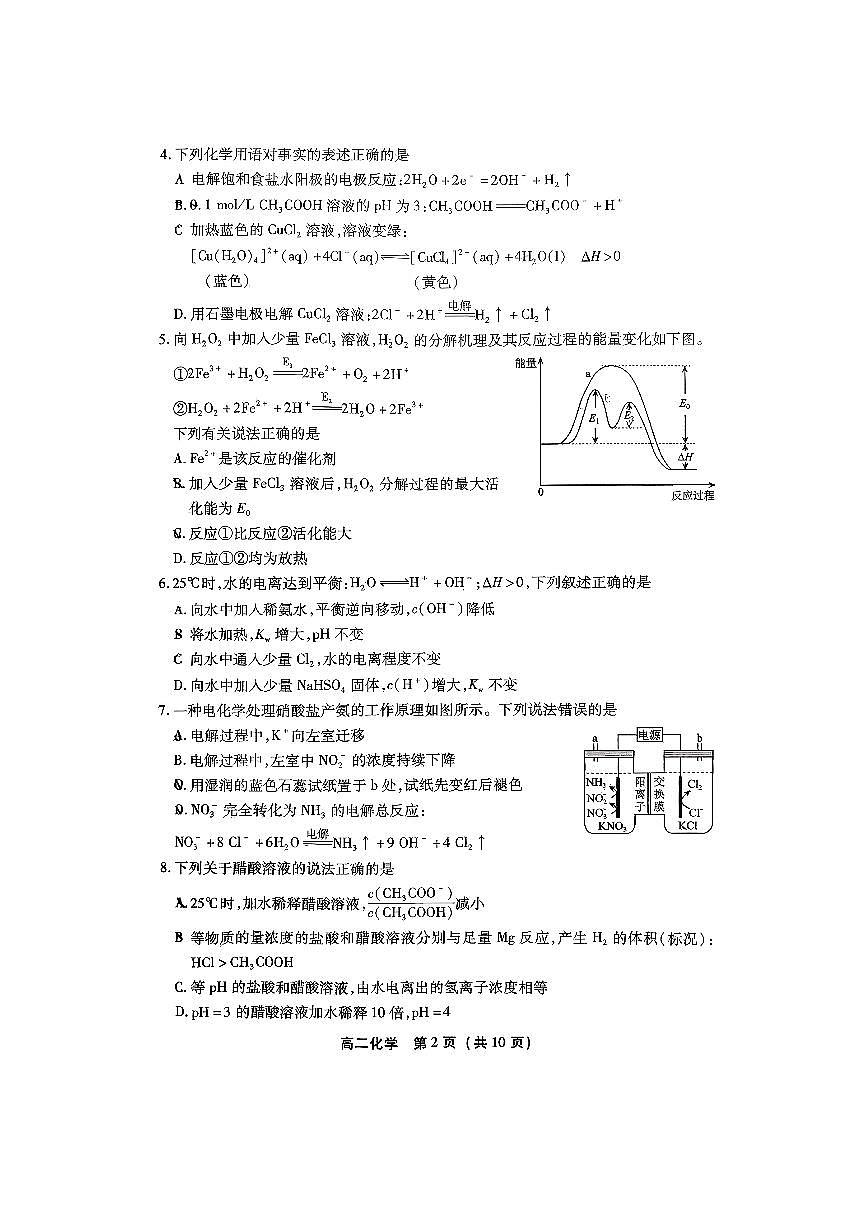 北京市第十二中学2025～2026学年高二上期中化学试卷(含答案)第2页