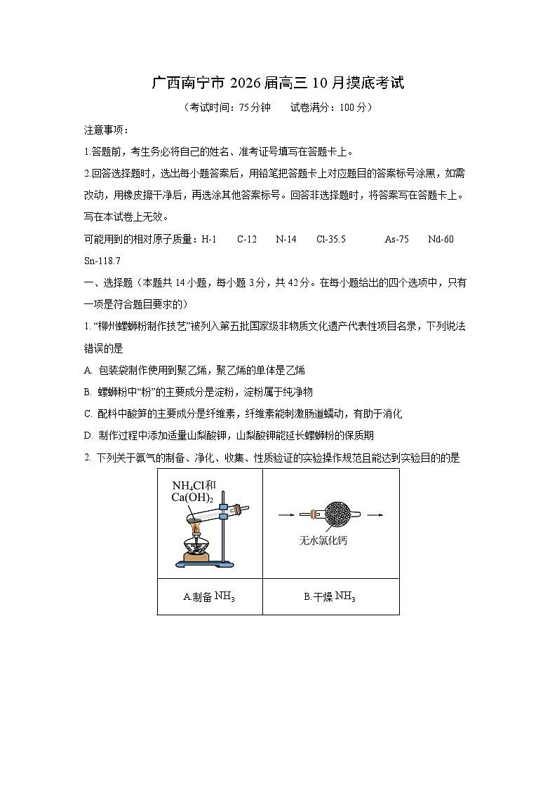 广西南宁市2026届高三上10月摸底考试化学试卷（学生版）第1页