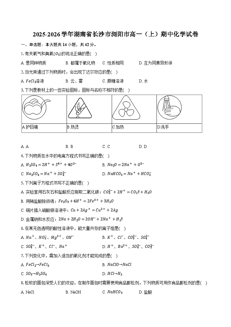 2025-2026学年湖南省长沙市浏阳市高一（上）期中化学试卷第1页