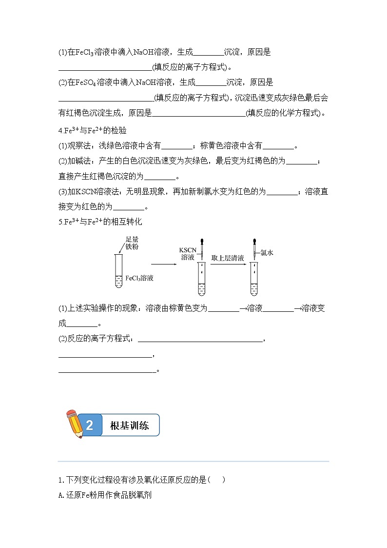 3.1.2 铁的重要化合物——高一化学人教版（2019）必修一精品同步分层练第2页