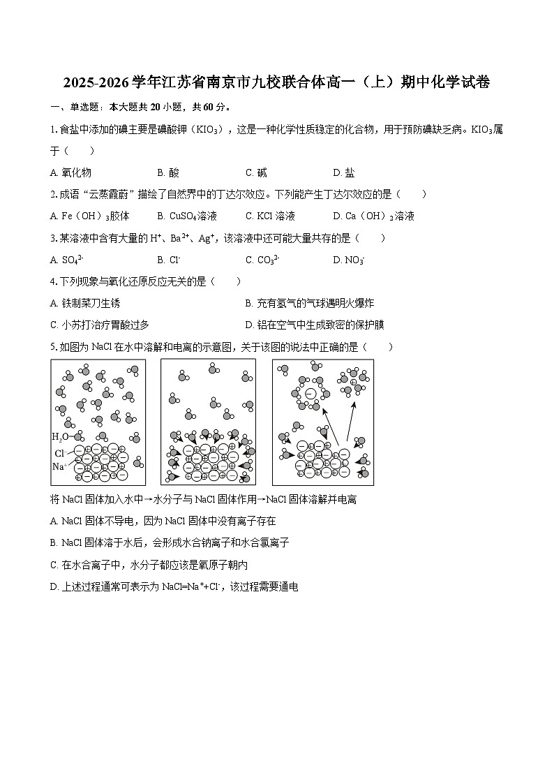 2025-2026学年江苏省南京市九校联合体高一（上）期中化学试卷-自定义类型第1页