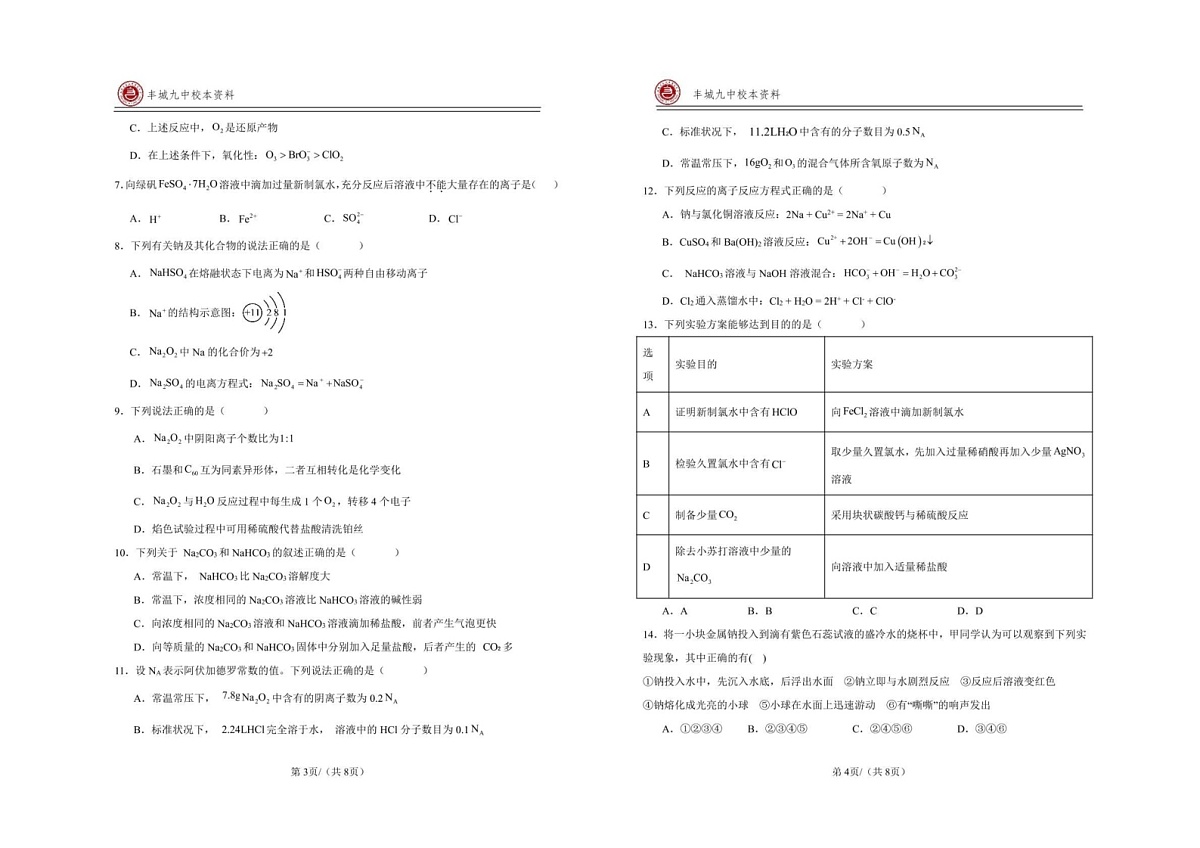 江西省宜春市丰城市第九中学2024-2025学年高三（复读班）上学期期末考试化学试第2页