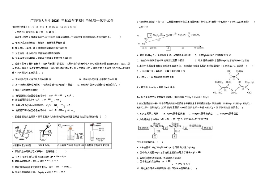 广西桂林师大附中2025-2026学年高一上学期11月期中考试化学试卷第1页