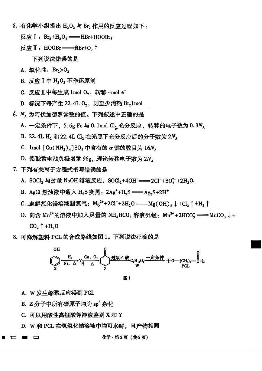云师大附中2026届高三上学期适应性月考五化学试卷+答案第2页