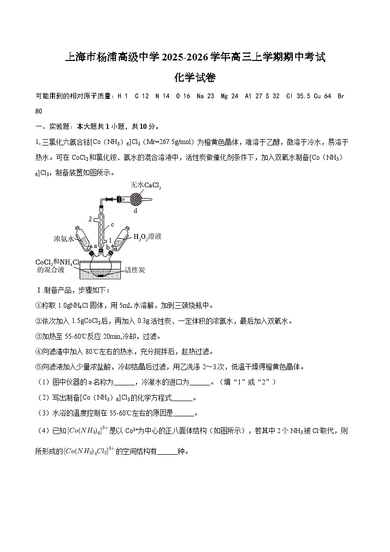 上海市杨浦高级中学2025-2026学年高三上学期期中考试化学试卷（含答案）第1页