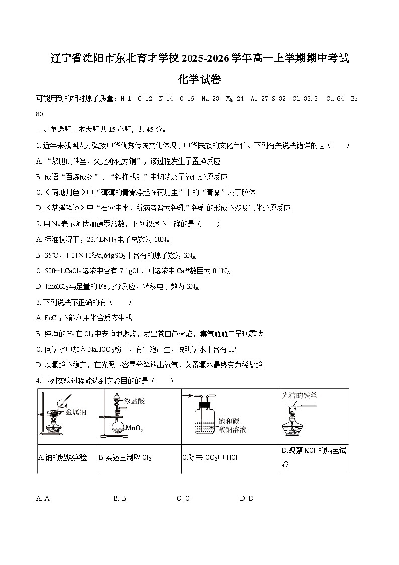 辽宁省沈阳市东北育才学校2025-2026学年高一上学期期中考试化学试卷（含答案）第1页