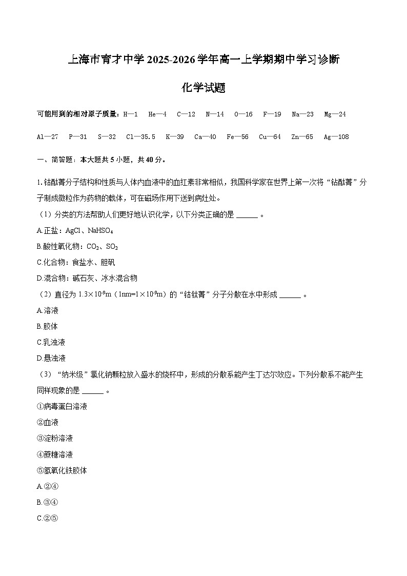 上海市育才中学2025-2026学年高一上学期期中学习诊断化学试题（含答案）第1页