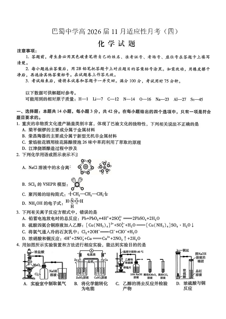 重庆市巴蜀中学2025-2026学年高三上学期11月考试化学试卷第1页