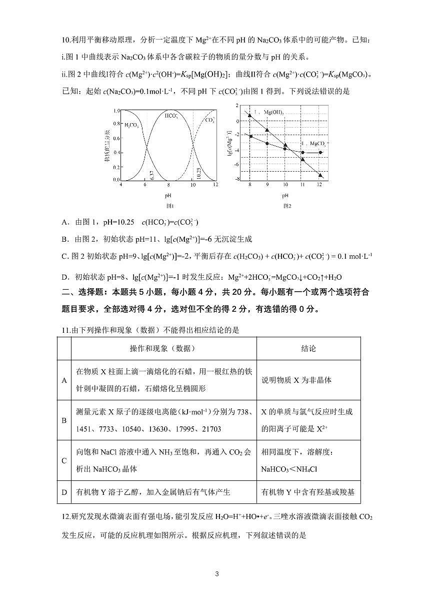 山东师大附中2026届高三上学期期中考试化学试题第3页