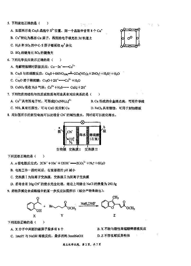 江苏省泰州中学2024-2025学年高三上学期开学考试化学试题第2页